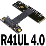 50CM R41UL 4.0 Câble d'extension M.2 NVME vers PCIE X1 4.0, pleine vitesse, clé M2, SSD, Interface de carte mère PCI-E4.0, adaptateur convertisseur 16G/bps Nipseyteko