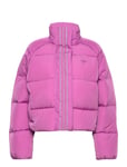 Short Down Jacket Pink Adidas Originals