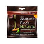 4 x Garnier Black Naturals Hair Dye Natural Brown - Shade 4.0   - NO AMONIA