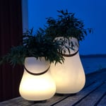 Nordic D'Luxx Flowerpot L Light & Speaker