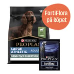 Large Athletic Adult Sensitive Digestion Lamb + 7-pack FortiFlora - Torrfoder 14 kg + 7-pack FortiFlora