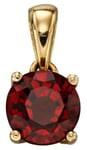 Elements Gold GP2189 9k Y/gold Red Garnet Birthstone Pendant Jewellery