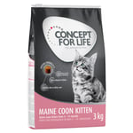 Concept for Life Maine Coon Kitten - paranneltu koostumus! - 3 kg