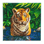 Diamantmålning Canvas 30x30 cm, Tiger