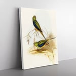 Blue Banded Grass Parakeet Birds By Elizabeth Gould Vintage Canvas Wall Art Print Ready to Hang, Framed Picture for Living Room Bedroom Home Office Décor, 76x50 cm (30x20 Inch)