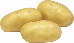 Sättpotatis LPM Leonore Sommar 1kg