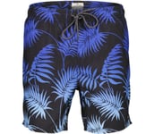 Egan Tropics Volley badshorts Herr BLACK XL