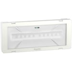 Schneider Electric Exiway Smartled Turvavalaisin ajoittain toimiva 1000 lm