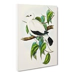 Torres Strait Fruit Pigeon Bird By Elizabeth Gould Vintage Canvas Wall Art Print Ready to Hang, Framed Picture for Living Room Bedroom Home Office Décor, 20x14 Inch (50x35 cm)
