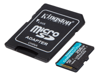 256GB microSDXC Canvas Go Plus 170R A2 U3 V30 Card + ADP