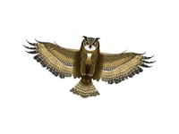 Günther Flugspiele One Line Dragon Owl Spännvidd 1220 Mm Vindstyrka Fitness 3 - 6 Bft