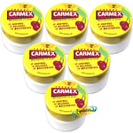 6x Carmex Cherry Moisturising Lip Balm Pot SPF15 Dry Chapped Cracked Lips 7.5g