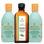 Nature Spell Rosemary Oil with Hair Growth Shampoo and Conditioner – Rosemary...