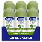 SANEX - Déodorant Bille Natur Protect Fresh Efficacy - Déodorant Homme & Femme - Extrait De Bambou Bio & Poudre De Bambou Naturelle - Protection Anti-Odeurs 48h - Vegan - Lot De 6 x 50 ml