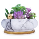 ARTKETTY 15.5CM Marble Ceramic Succulent Plant Pots with Drainage Hole Large Round Bonsai Pots Garden Decorative Cactus Plant Indoor and Outdoor Flower Container Bowl with Tray