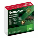 Nemasys Nematodes Vine Weevil Killer (treats 12 Sq.m) Non Harmful Pet Friendly