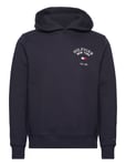 Arched Varsity Hoody Tops Sweat-shirts & Hoodies Hoodies Navy Tommy Hilfiger