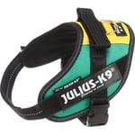 Julius-K9 IDC Sele Mini-Mini Africa Style 40-53 cm Röd/Grön/Gul