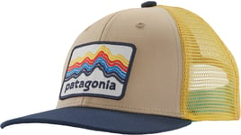 Patagonia Trucker Hat Junior