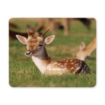Young Fawn Little Deer Countryside Rural Theme Rectangle Non Slip Rubber Mousepad, Gaming Mouse Pad Mouse Mat for Office Home Woman Man Employee Boss Work