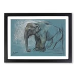 Big Box Art Study of an Elephant by John Macallan Swan Framed Wall Art Picture Print Ready to Hang, Black A2 (62 x 45 cm)