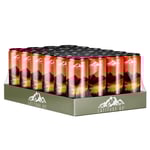 24 X Latitude 65 330 Ml Landskap - Persika &amp; Mango