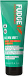 Clean Mint Shampoo, Deep Cleansing, Clarifying Shampoo, Scalp Care, 5X Stronger