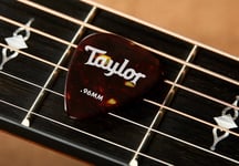 Taylorware Taylor Celluloid 351 Picks, Tortoise Shell, 1.21mm, 12-Pack