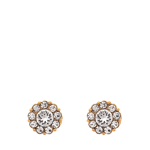 Lily and Rose Petite Miss Sofia Earrings Crystal Guld