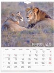 Vægkalender Verdens dyr 2024