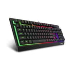 Rapoo Mechanical Gaming Keyboard V52S USB QWERTY 19139