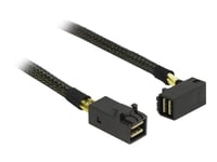 Delock - Intern Sas-Kabel - Sas 12Gbit/S - 4X Mini-Sas Hd (Sff-8643) (Hane) Till 4X Mini-Sas Hd (Sff-8643) (Hane) - 1 M - 90° Kontakt
