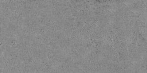 Imperium Dark Grey Gloss Tile 300 x 600mm (Cut Sample)