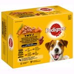 Pedigree Adult Pouch Multipack - Ekonomipack: Poultry Mix i sås 96 x 100 g