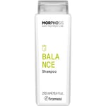 Framesi Kokoelma Morphosis Balance Shampoo 250 ml