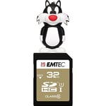 Pack Support de Stockage Rapide et Performant : Clé USB - 2.0 - Série Licence - Hanna Barbera - 16 Go + Carte MicroSD - Gamme Elite Gold - Classe 10-32 GB