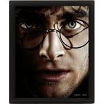 Harry Potter™ 3D Bilde Harry Potter Vs Voldemort