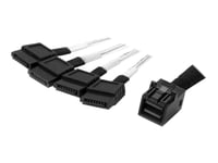StarTech.com Câble Mini SAS vers SATA interne de 1 m - Cordon SFF-8643 vers 4x SATA - Câble SATA / SAS - Disque dur SAS Mini 4x (SFF-8643) (P) pour SATA (P) - 1 m - noir et argent - pour P/N:...
