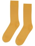 Colorful Standard Classic Organic Socks - Burned Yellow Colour: Burned Yellow, Size: ONE SIZE