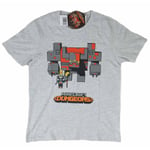 Fyndutbudet Minecraft T-shirt Dungeons Grey 116