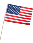 USA Flagga - American Party