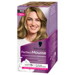 Schwarzkopf - Perfect Mousse - Coloration Cheveux - Mousse Permanente sans Ammoniaque - Masque Soin 96 % d'ingrédients d'origine naturelle - Blond 800, 1 Unité (Lot de 1)