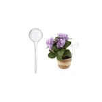 Vattenboll Set om 2 glas