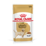 Royal Canin Labrador Retriever Adult i saus - 40 x 140 g