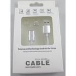 Câble Chargement Adaptateur compatible iPhone 5/5c/5s/6/6s/6 Plus/6s Plus, iPad Mini/Mini 2/Min 3/Air/Air 2/4 gris