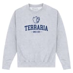 Terraria Unisex vuxen tryckt sweatshirt