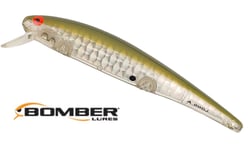 Bomber Long 15A 13gr/12cm PTG