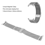 Magnetic Mesh Loop Bands For Google Pixel Watch Band Wristband(Silver GGM