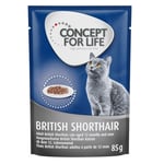 Concept for Life British Shorthair Adult - förbättrad formel! - Som tillskott: 12 x 85 g Concept for Life British Shorthair