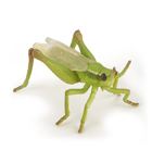 - Gräshoppa - L: 6,5 cm